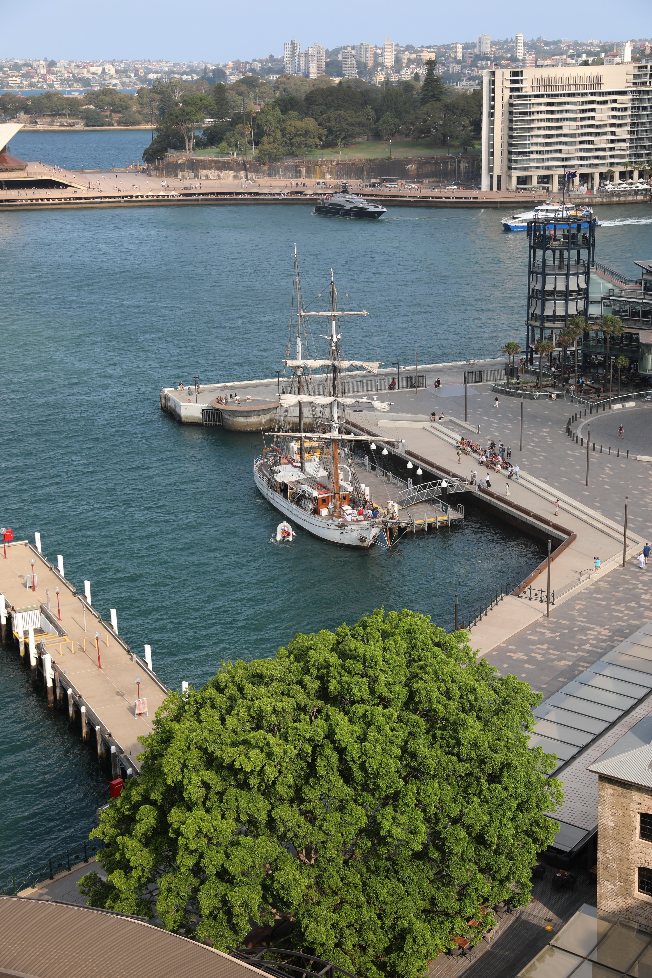 2020 01 30 17 14 22 Canon EOS 5D Mark IV 0026